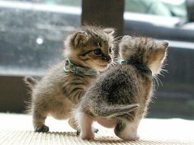 他一直说我有薄荷味