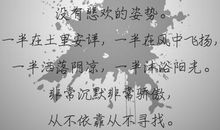 描写爱好的句子