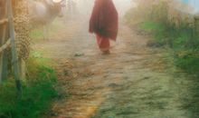 对亲情失望现实的句子说说心情