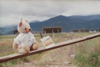    关于缺少夏天的句子  1