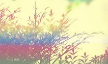 形容神情开心的句子