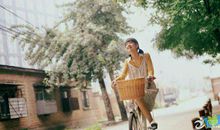 对树的描写句子