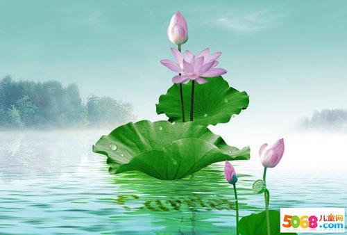    好话  纯净而优雅 减肥荷叶香月光清香 北盘球干净无瑕嫩蕊宁煮 清香进攻含痰的水芙蓉要放在冰上清玉洁  好句子   1