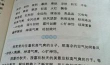 好词好句初中短一点