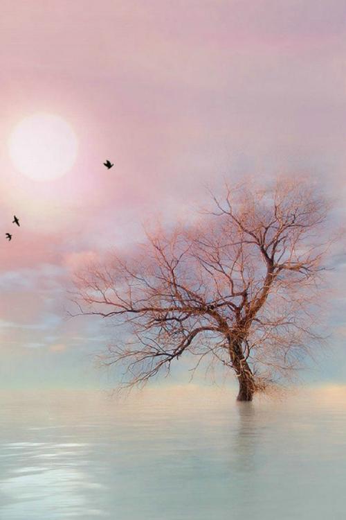 疲倦也是一种享受