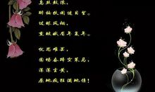 抒情的句子爱情