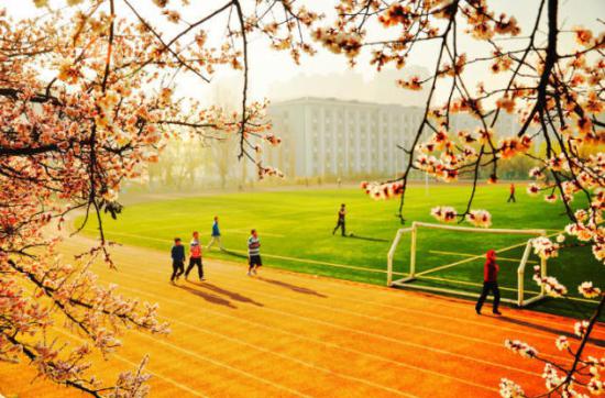 校园是承载我们青年时代最美好回忆的地方