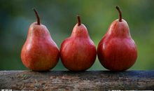 非血缘的亲情的句子