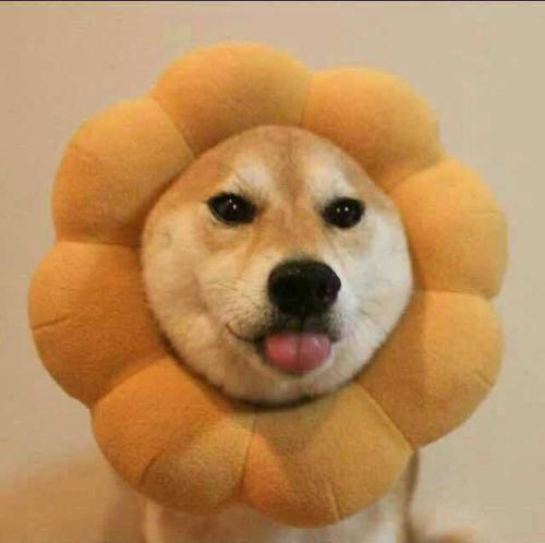 编辑编辑了一些非常愉快和有趣的句子