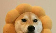 特别开心搞笑的句子