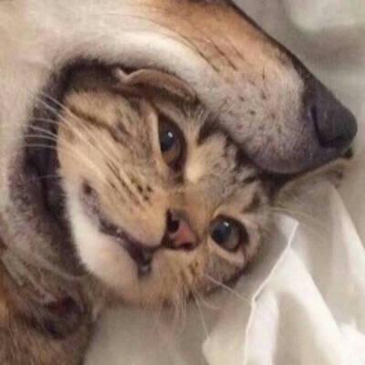 让我们看一下小编为使女友高兴而编写的经典幽默句子