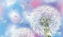 和同事一起旅游开心的句子