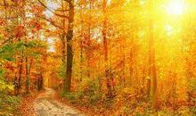 早上给客户问候短信