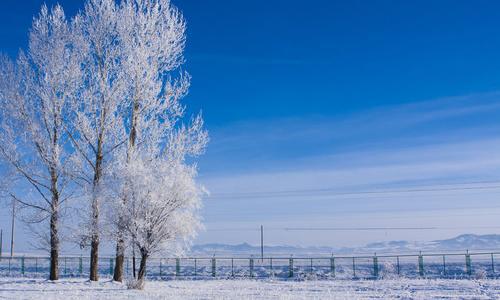 看到美丽动人的积雪