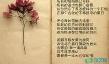 关于青春的比喻句