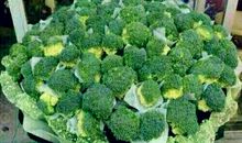 网络情人节搞笑说说 5月20日搞笑签名