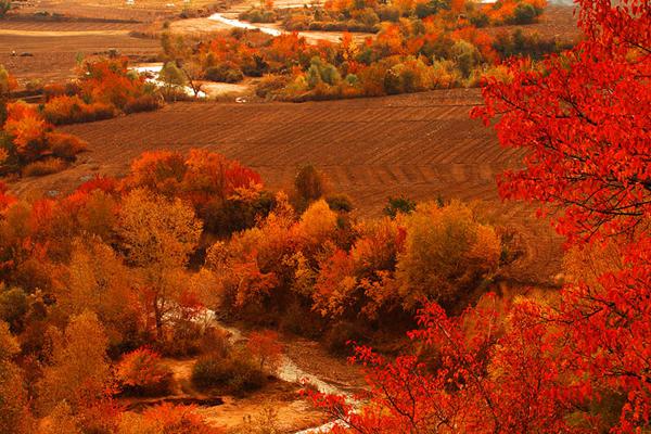 秋天是一个美丽的季节