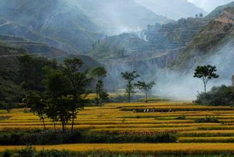     关于乡村风光的优美句子   1