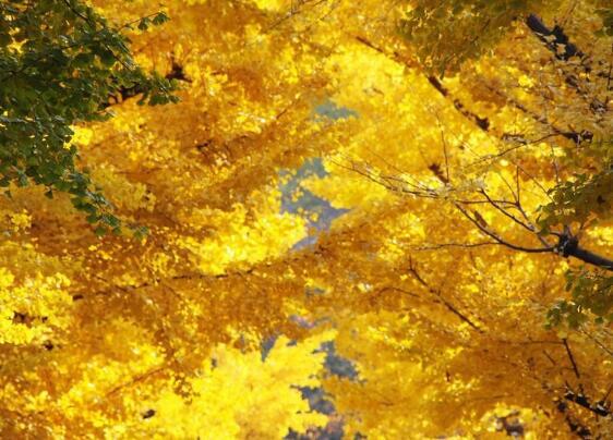 都必须有多少命运在一起