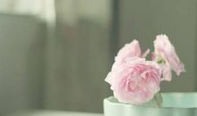 看透人世心酸的句子