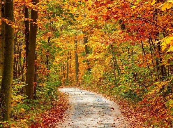 这个世界是如此之大