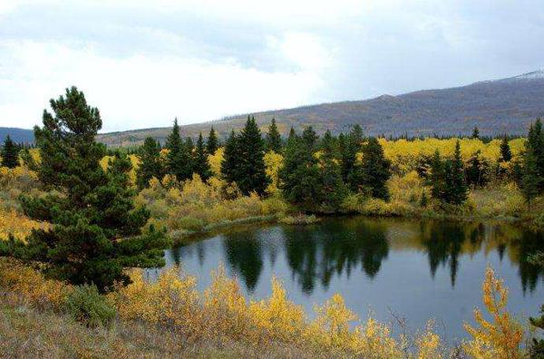 墙上的光不如心脏明亮