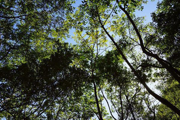 每天接受你的爱