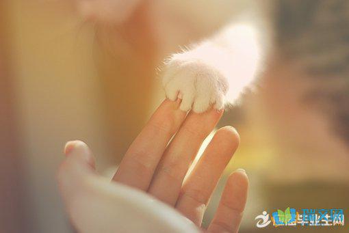 但每个单词的应用给人以美好的感觉