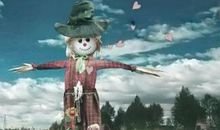 关于生命的人生感悟句子