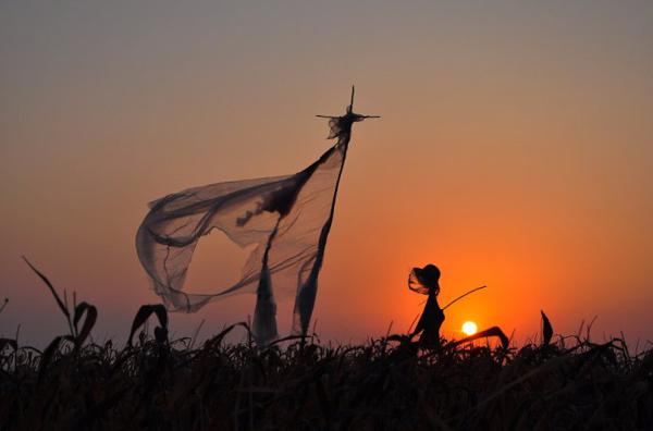 但是现在这个愿望无法实现