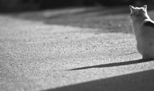 朋友对自己失望的句子