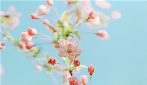 到2020年的时间已经过去了四分之一