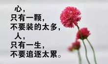 情感语录感悟人生