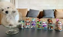 欢迎我们家的新成员的说说