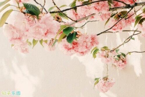 谁曾经是个吹白的女孩