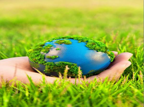 因为为了经济目的破坏了环境