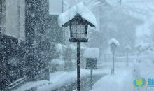 关于描写冬雪的诗句