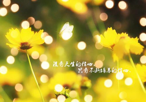 所谓生活是指您听不见谎言