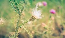 感悟人生的唯美的句子