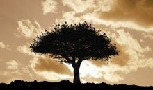 感叹对亲人失望的句子说说心情