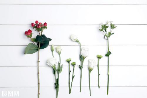 让我们看一下小编编写的描述父母和孩子的感情的句子