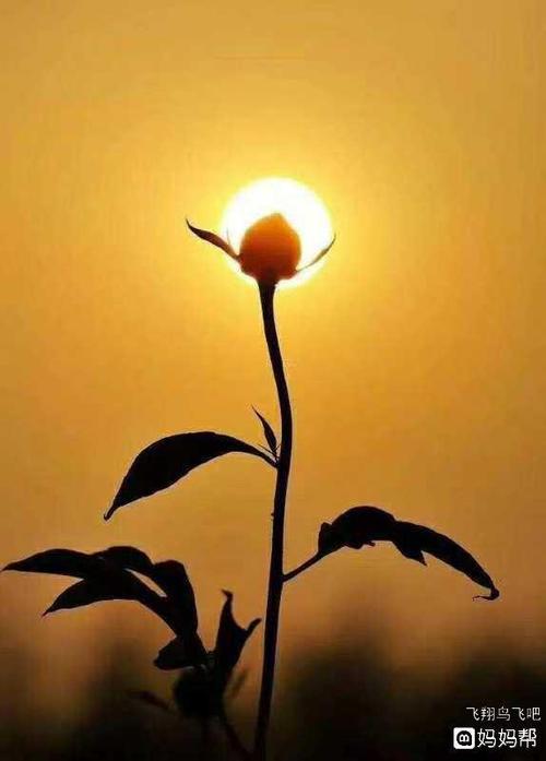 我要努力工作并感到高兴