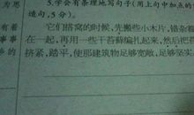 用先再然后造句