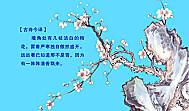 描写梅花精神的诗句