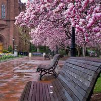 来看看小编整理的关于致自己亲情的句子英文