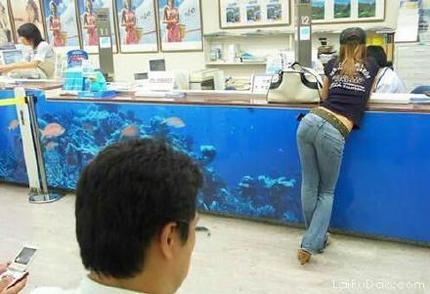 我的女朋友有点像范冰冰