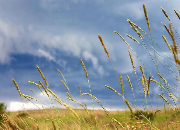 而是对无法忍受的爱的诠释