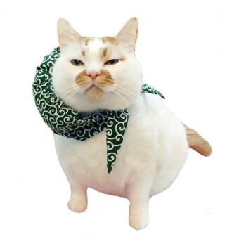 并选择一个句子来表达您的心情