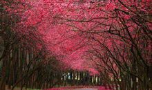 人生短短几十年，不要给自己留下了什么遗憾