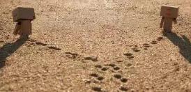 情感生活并非一帆风顺